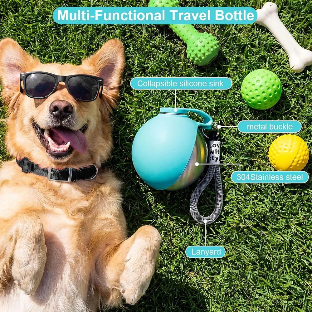ALLUXESS Portable Pet Water Bottle | Leakproof Dog & Cat Water Bottle for Walks, Travel & Outdoor Adventures